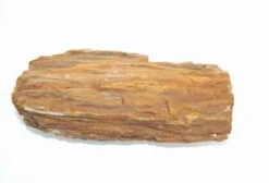 Steinholz Unterschiedliche Farb- Und Form-Spektren Per 1kg