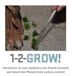 1-2-GROW! Kleiner Stern 'Daonoi' - Sternkraut / Pogostemon Helferi 4 1-2-GROW! Kleiner Stern 'Daonoi' - Sternkraut / Pogostemon Helferi -Wfw Wasserflora 053HTC 1 6