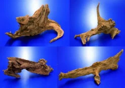 Mangroven-Wurzel Gr. L / 30 - 40 Cm Mangrovenholz