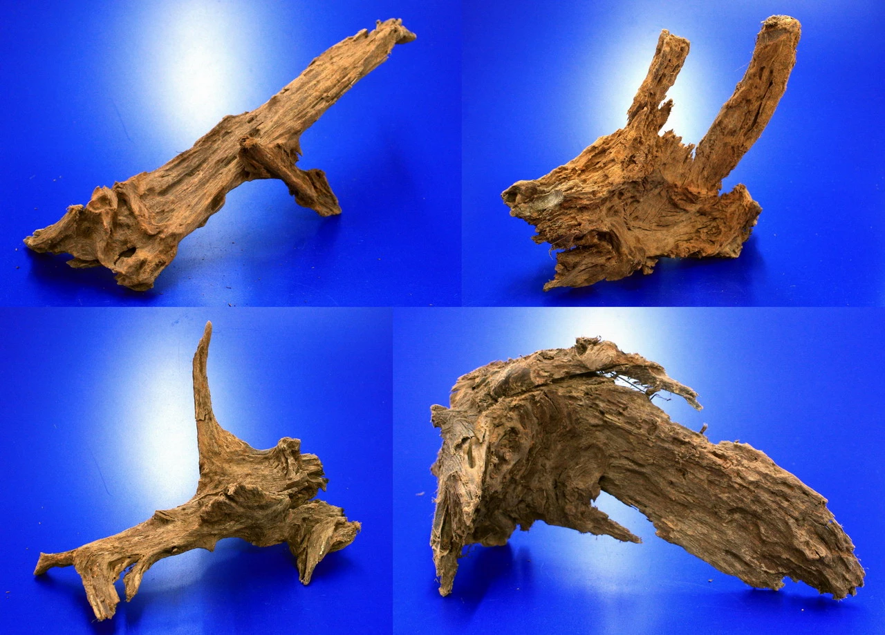 Mangroven-Wurzel Gr. XL / 40 - 50 cm Mangrovenholz Mangroven-Wurzel Gr. XL / 40 - 50 Cm Mangrovenholz -Wfw Wasserflora 400732wf 1 1