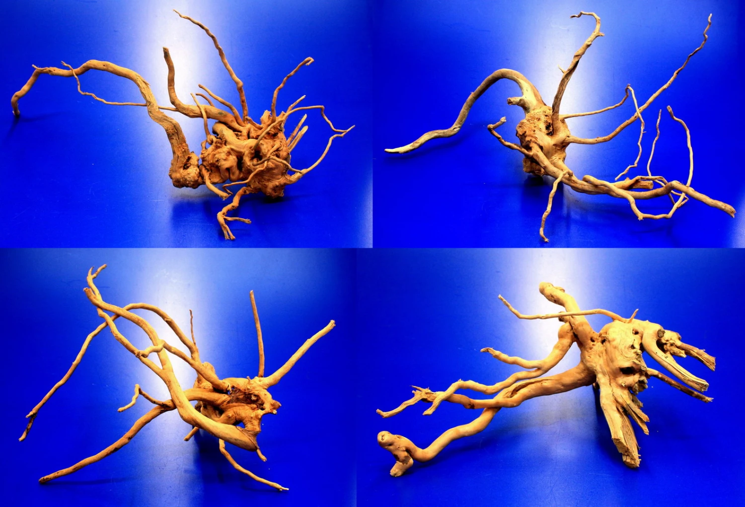 Moorwurzel/Moorkienholz, Gr. S Traumwurzel 20-30cm Moorwurzel/Moorkienholz, Gr. S Traumwurzel 20-30cm -Wfw Wasserflora 4080070AD 1 2