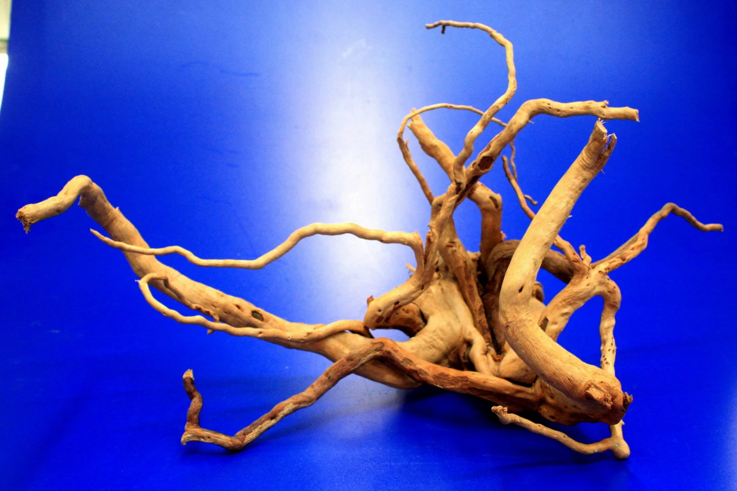 Moorwurzel/Moorkienholz, Gr. M Traumwurzel 30-40cm Moorwurzel/Moorkienholz, Gr. M Traumwurzel 30-40cm -Wfw Wasserflora 4080075AD 1 10