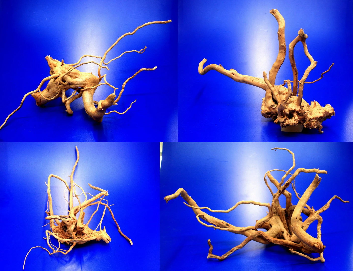 Moorwurzel/Moorkienholz, Gr. M Traumwurzel 30-40cm Moorwurzel/Moorkienholz, Gr. M Traumwurzel 30-40cm -Wfw Wasserflora 4080075AD 1 2