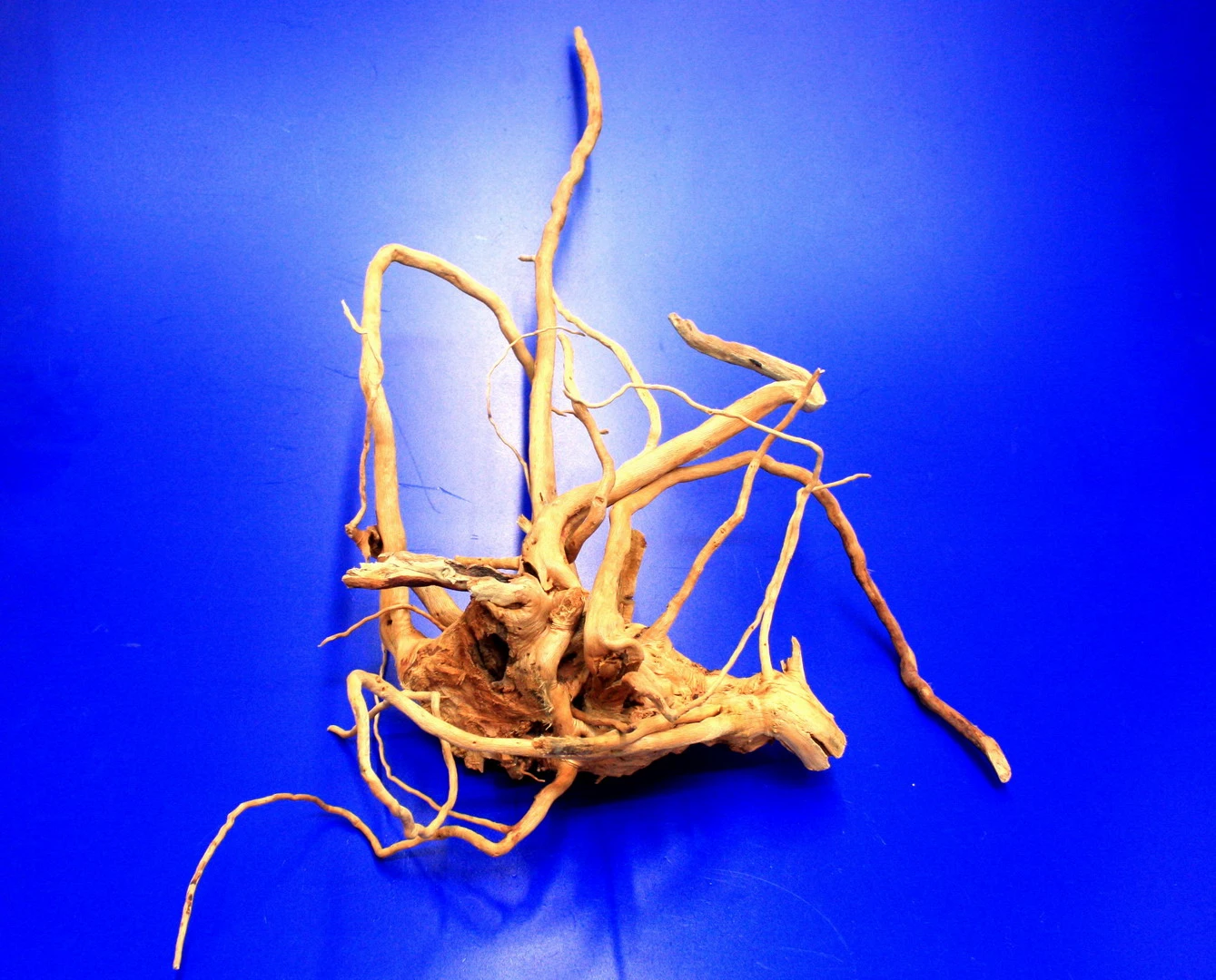 Moorwurzel/Moorkienholz, Gr. M Traumwurzel 30-40cm Moorwurzel/Moorkienholz, Gr. M Traumwurzel 30-40cm -Wfw Wasserflora 4080075AD 1 8