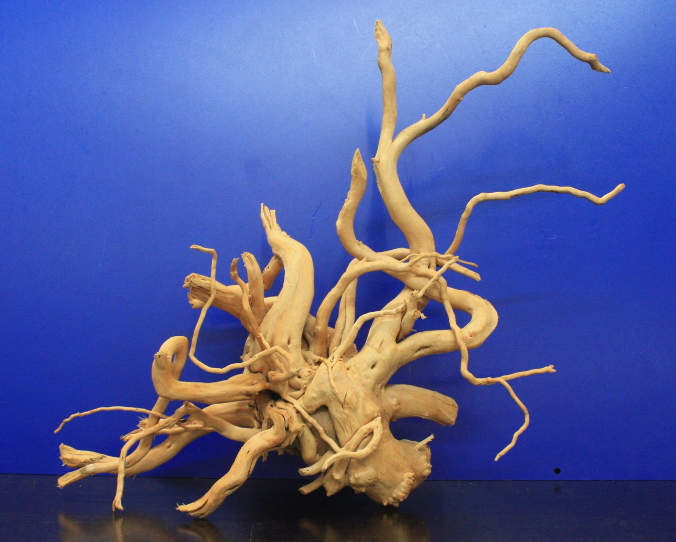 Moorwurzel/Moorkienholz, Gr. L Traumwurzel 40-50cm Moorwurzel/Moorkienholz, Gr. L Traumwurzel 40-50cm -Wfw Wasserflora 4080080AD 1 2