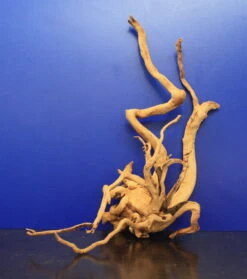 Moorwurzel/Moorkienholz, Gr. L Traumwurzel 40-50cm 5 Moorwurzel/Moorkienholz, Gr. L Traumwurzel 40-50cm -Wfw Wasserflora 4080080AD 1 6