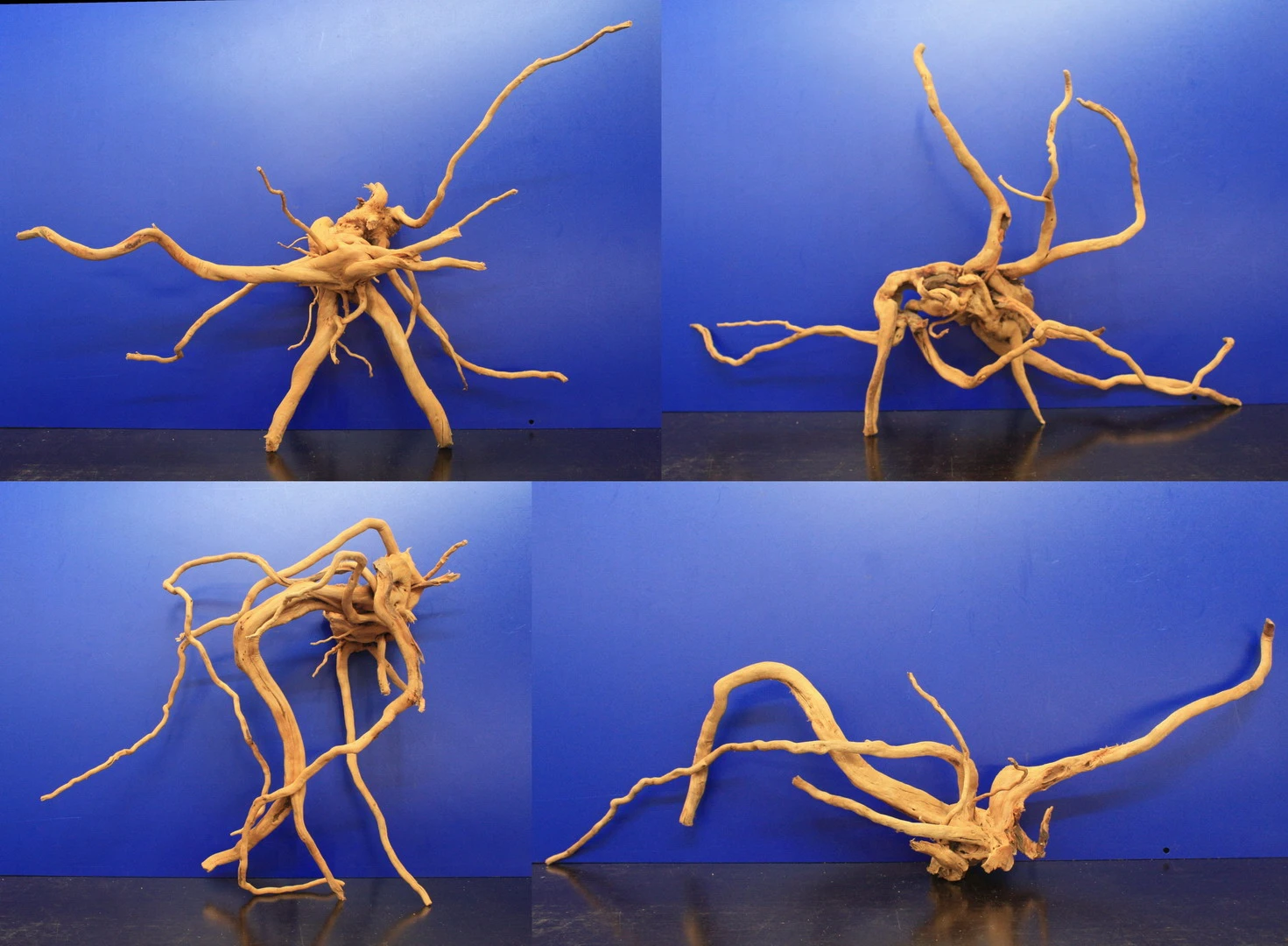 Moorwurzel/Moorkienholz, Gr. XL Traumwurzel 50-60cm Moorwurzel/Moorkienholz, Gr. XL Traumwurzel 50-60cm -Wfw Wasserflora 4080085AD 1 1