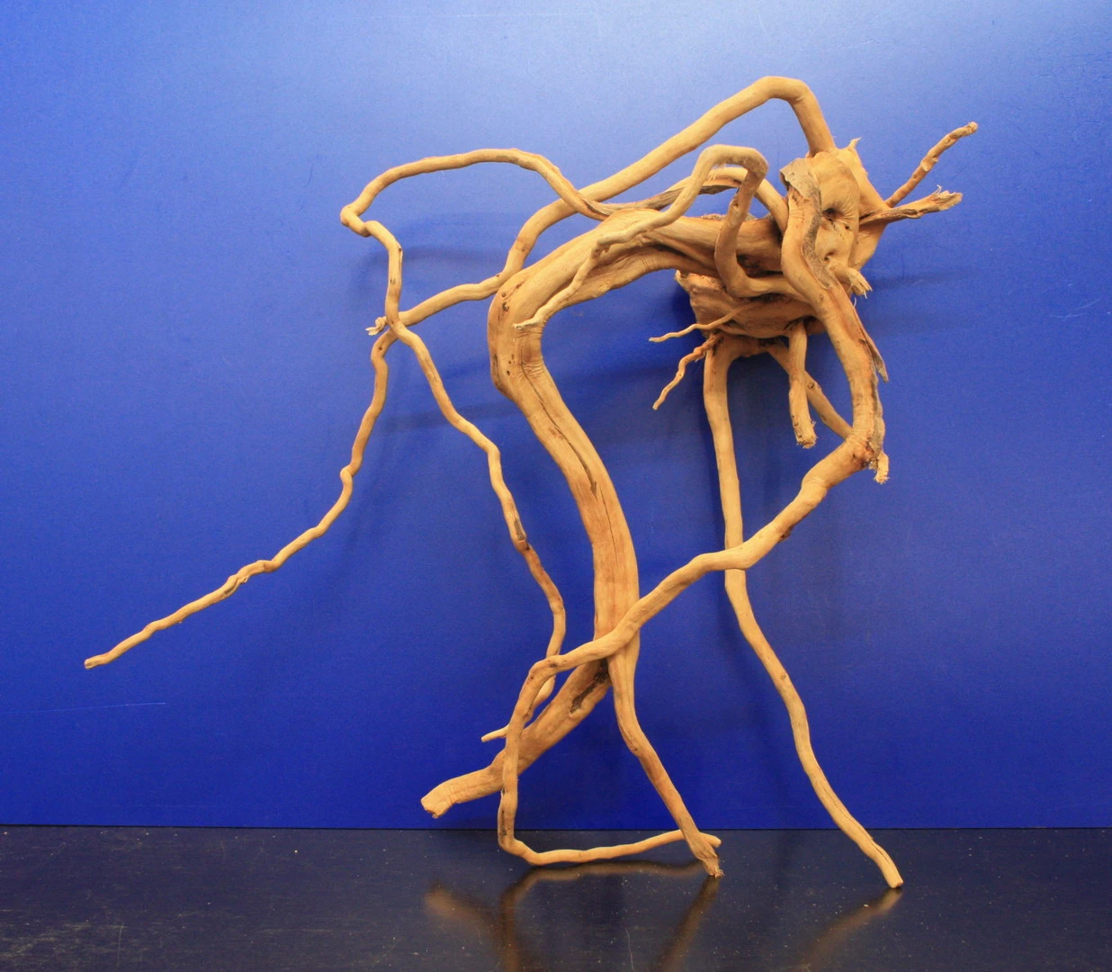 Moorwurzel/Moorkienholz, Gr. XL Traumwurzel 50-60cm Moorwurzel/Moorkienholz, Gr. XL Traumwurzel 50-60cm -Wfw Wasserflora 4080085AD 1 6