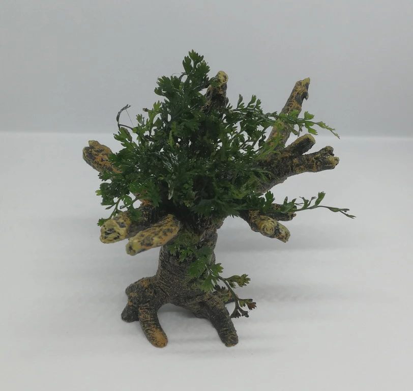 Mini Bolbitis-Bäumchen mit Baumkrone / Urwaldbaum NANO mit Bolbitis (heteroclita) difformis Mini Bolbitis-Bäumchen Mit Baumkrone / Urwaldbaum NANO Mit Bolbitis (heteroclita) Difformis -Wfw Wasserflora 426753 3wf 1 1