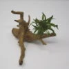 Weisslicher Wasserkelch-Spiderwood / Künstliche Nano-Moorwurzel Mit Cryptocoryne Costata Albida Rot -Wfw Wasserflora 87871 2wf 1 1