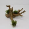 Christmas Moss-Spiderwood / Künstliche Nano-Moorwurzel Mit Vesicularia Dubyana 'Christmas' -Wfw Wasserflora 87871 5wf 1 1