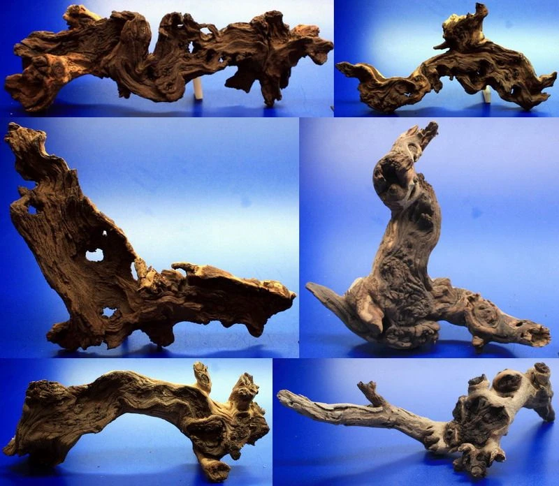 Mopani-Wurzel 30-40 cm / Eisenholz zwei-farbig Gr. L Mopani-Wurzel 30-40 Cm / Eisenholz Zwei-farbig Gr. L -Wfw Wasserflora H004AC 1 1 1