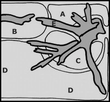 Unterwasser-Landschaft Moosbogen für 30 Liter Nano Cube Unterwasser-Landschaft Moosbogen Für 30 Liter Nano Cube -Wfw Wasserflora S1 030wf 1 2