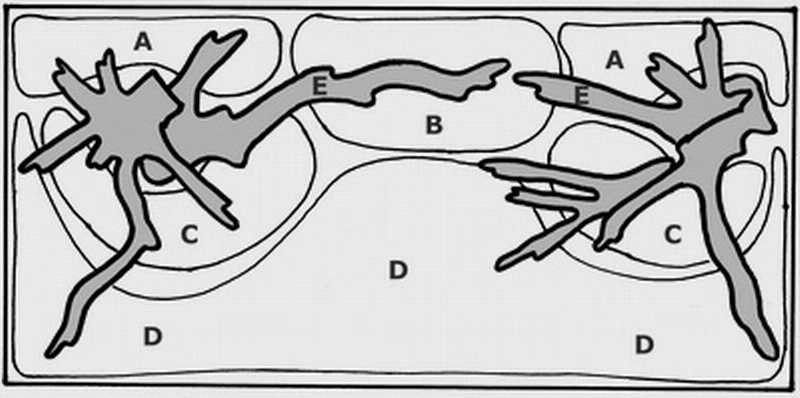 Unterwasser-Landschaft Moosbrücke für 300 Liter Aquarium Unterwasser-Landschaft Moosbrücke Für 300 Liter Aquarium -Wfw Wasserflora S1 060wf 1 2