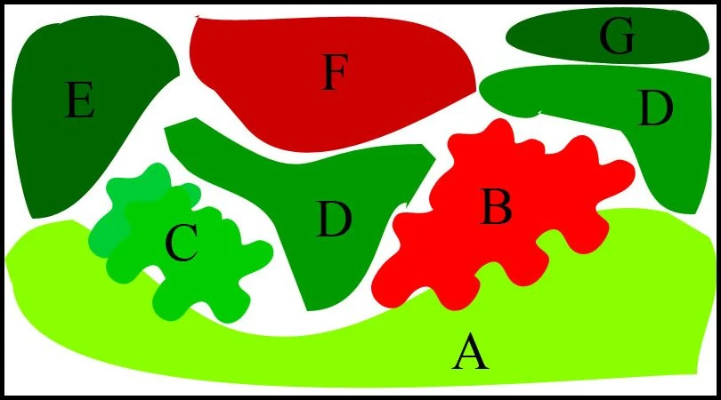 Unterwasser-Landschaft Lotuswelt für ein 500 Liter Aquarium Unterwasser-Landschaft Lotuswelt Für Ein 500 Liter Aquarium -Wfw Wasserflora S2 060wf 1 2 3