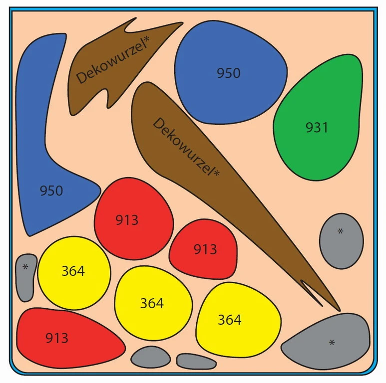 Ludwigia Cube 30 Liter - Pflanzenlandschaft für einen 30 Liter Nano Cube Ludwigia Cube 30 Liter - Pflanzenlandschaft Für Einen 30 Liter Nano Cube -Wfw Wasserflora S9143DE 1 2