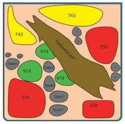 Biosphere Cube 30 Liter - Pflanzenlandschaft Für Einen 30 Liter Nano Cube -Wfw Wasserflora S9149DE 1 3