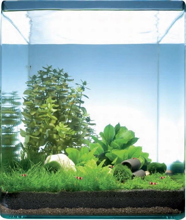 Pantanal Bay 30 Liter - Pflanzenlandschaft für einen 30 Liter Nano Cube Pantanal Bay 30 Liter - Pflanzenlandschaft Für Einen 30 Liter Nano Cube -Wfw Wasserflora S9180DE 1 1