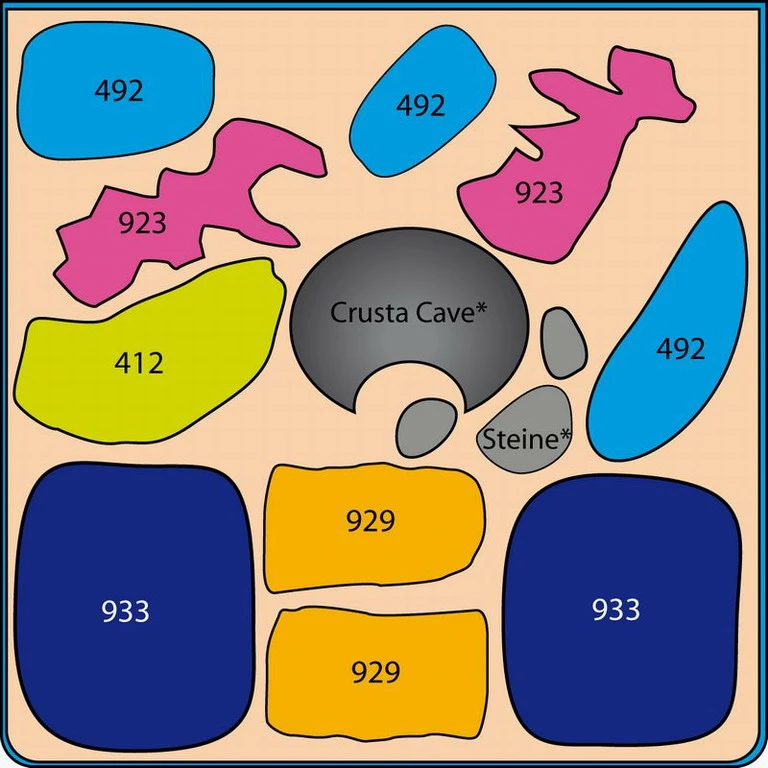Java Paradise 30 Liter - Pflanzenlandschaft für einen 30 Liter Nano Cube Java Paradise 30 Liter - Pflanzenlandschaft Für Einen 30 Liter Nano Cube -Wfw Wasserflora S9186DE 1 3