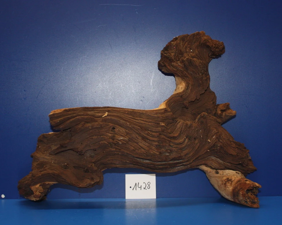 Zweifarbige Traumwurzel #1428 Eisenholz/Mopani-Wurzel 42x33x15 Zweifarbige Traumwurzel #1428 Eisenholz/Mopani-Wurzel 42x33x15 -Wfw Wasserflora W1428 1 1