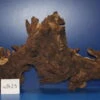 Zweifarbige Traumwurzel #1429 Eisenholz/Mopani-Wurzel 42x25x13 1 Zweifarbige Traumwurzel #1429 Eisenholz/Mopani-Wurzel 42x25x13 -Wfw Wasserflora W1429 1 1
