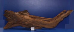 6XL Mangroven-Wurzel 113x36x60 Unikat - Traumwurzel #1437