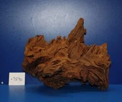 XL Mangroven-Wurzel 30x24x22 Unikat - Traumwurzel #1540