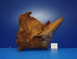 XL Mangroven-Wurzel 38x31x15 Unikat - Traumwurzel #1548