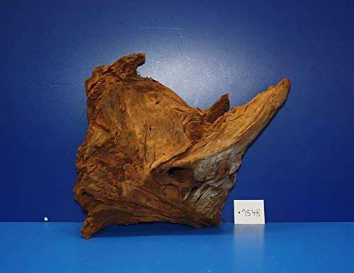 XL Mangroven-Wurzel 38x31x15 Unikat - Traumwurzel #1548 XL Mangroven-Wurzel 38x31x15 Unikat - Traumwurzel #1548 -Wfw Wasserflora W1548 1