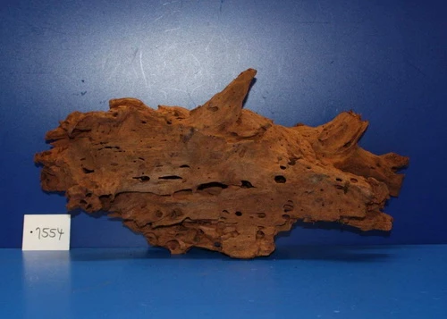 XL Mangroven-Wurzel 44x21x13 Unikat - Traumwurzel #1554 XL Mangroven-Wurzel 44x21x13 Unikat - Traumwurzel #1554 -Wfw Wasserflora W1554 1