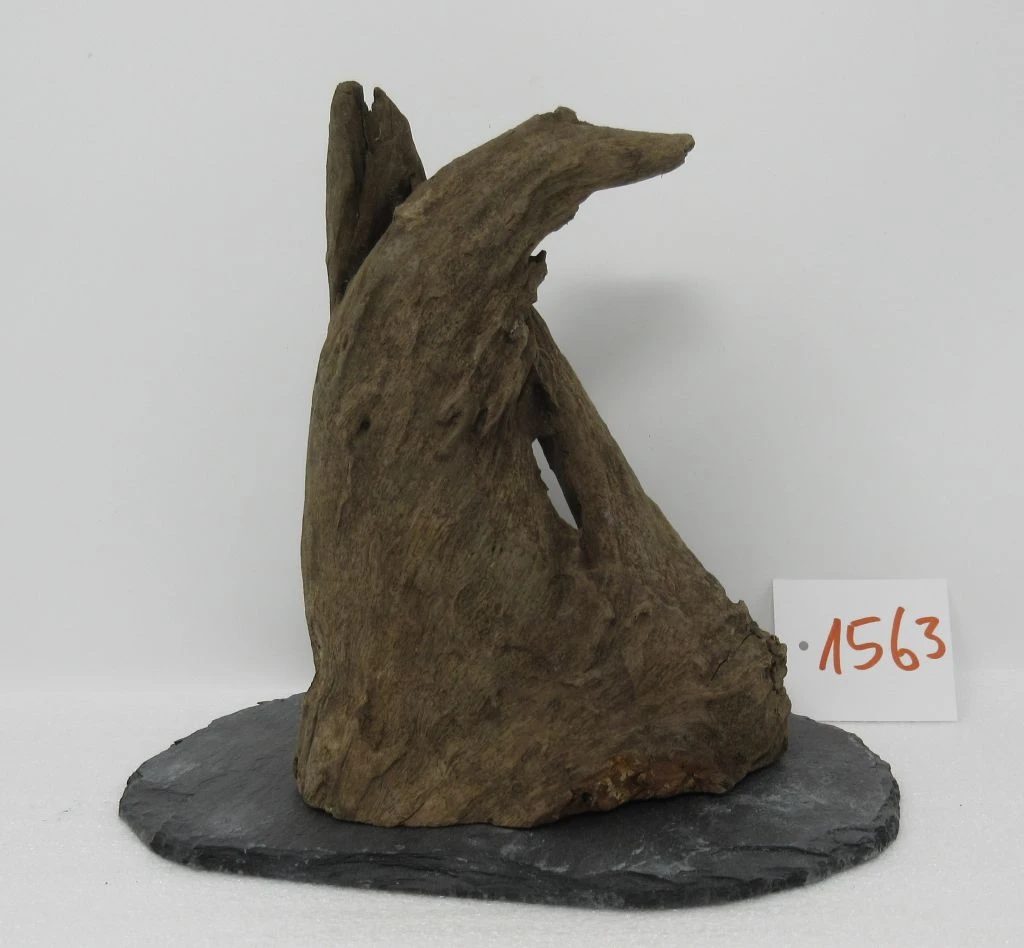 XL Scaper Wurzel 19x18x15 Traumwurzel #1563 auf Schiefer XL Scaper Wurzel 19x18x15 Traumwurzel #1563 Auf Schiefer -Wfw Wasserflora W1563 1 1