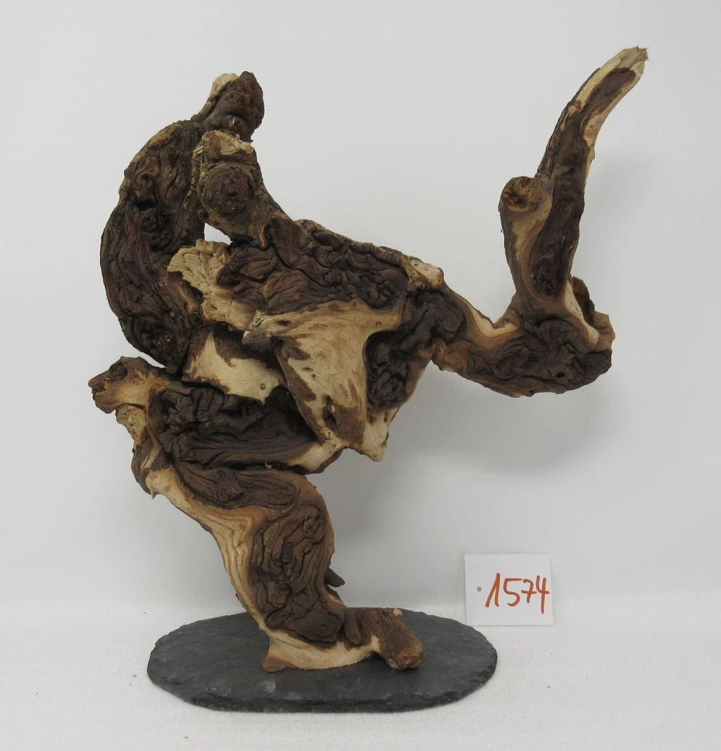 XXL Eisenholz/Mopani-Wurzel 29x30x16 Zweifarbige Traumwurzel #1574 auf Schiefer XXL Eisenholz/Mopani-Wurzel 29x30x16 Zweifarbige Traumwurzel #1574 Auf Schiefer -Wfw Wasserflora W1574 1 1