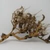 XL Thailand Zweig / Wurzel 39x25x18 Traumwurzel #1580 -Wfw Wasserflora W1580 1 1