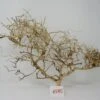 XL Thailand Zweig / Wurzel 50x38x16 Traumwurzel #1585 -Wfw Wasserflora W1585 1 1