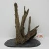 XL Scaper Wurzel 19x21x15 Traumwurzel #1586 Auf Schiefer 1 XL Scaper Wurzel 19x21x15 Traumwurzel #1586 Auf Schiefer -Wfw Wasserflora W1586 1 1