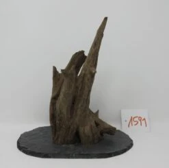 XL Scaper Wurzel 20x21x13 Traumwurzel #1591 Auf Schiefer