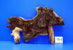 Zweifarbige Traumwurzel #963 Eisenholz/Mopani-Wurzel 39x26x11