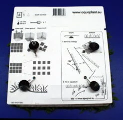 Green-Wall XL Javafarn / Microsorum Pteropus Auf Matte Ca. 170x140 Mm 4 Green-Wall XL Javafarn / Microsorum Pteropus Auf Matte Ca. 170x140 Mm -Wfw Wasserflora oM43A SG 1 3