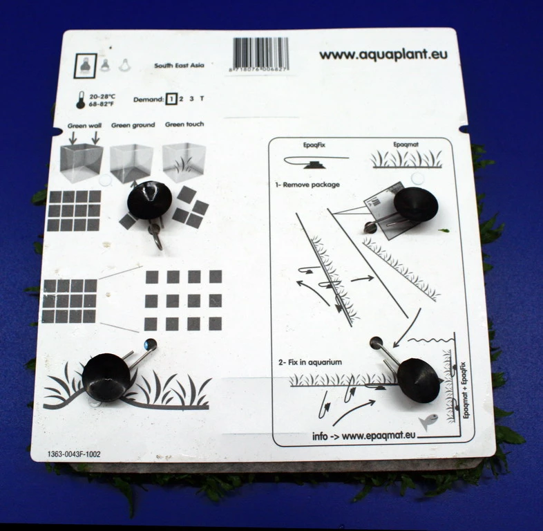 Green-Wall XL Javafarn / Microsorum pteropus auf Matte ca. 170x140 mm Green-Wall XL Javafarn / Microsorum Pteropus Auf Matte Ca. 170x140 Mm -Wfw Wasserflora oM43A SG 1 3
