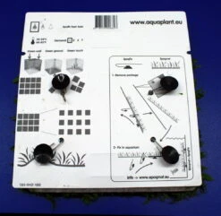 Green-Wall XL Gekräuseltes Javafarn / Microsorum Pt. Windelov Auf Matte Ca. 170x140 Mm -Wfw Wasserflora oM43W SG 1 6